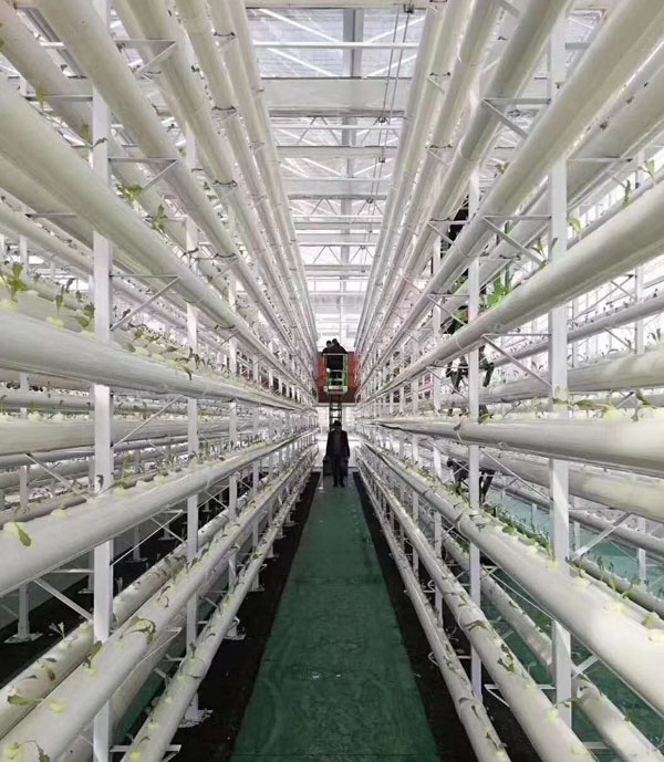 ΢������ʽҺ�������C������